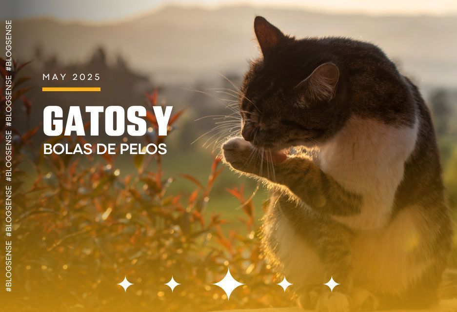 Gatos y bolas de pelo